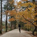 변산농협 격포하나로마트 이미지