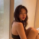 호텔블랙 이미지