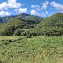 대진시외버스터미널 이미지