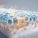 셀이즈의원 이미지