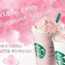 체리블라썸 이미지