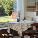 다반사 | 제주 동쪽 숙소 아이랑 독채 펜션 내돈내산 추천 후기, 제주다반사