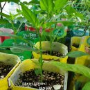 영고농장 이미지