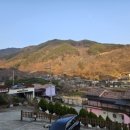 제비꽃펜션 | [구례펜션] 맑은 피아골계곡 바로 앞 댕댕이와 힐링하는 구례야생화펜션