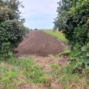 상모리-9 이미지