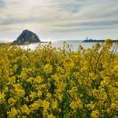 천사어린이공원 이미지