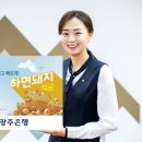 하면돼지 전자신문