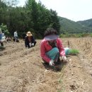 서상원 카카오 검색결과