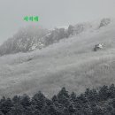 산들바람 이미지