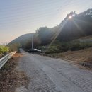 임대길농장 이미지