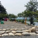 연어의추억 이미지