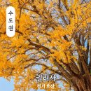 UR(오산시)-[궐리사로]-상-3 | 경기도 오산 가볼만한곳 궐리사 은행나무 볼거리