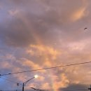 송정우리약국 이미지