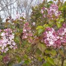 올가드림헤어 이미지