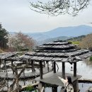 자연바루 이미지