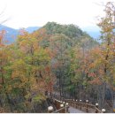 장태산휴양림 이미지