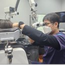 석이비인후과의원 이미지