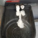 조광카센타 이미지