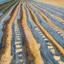 황포농장 이미지