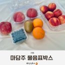 음표박스 | 마담주 과일 랜덤박스 구매 후기 가격 맛 리뷰