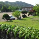 대룡초등학교 이미지