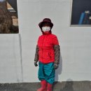 상국농장 이미지