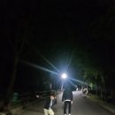 최신영화 올빼미 | 춘천 가성비 끝판왕 강원숲체험장 자연휴양림 예약방법 6인실 2박3일 숙박 후기