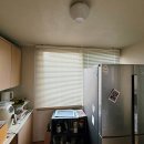 디자인플러스창
