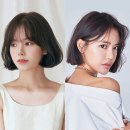 예예미용실 - 구미시 | 예예미용실