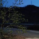 향인농원청도