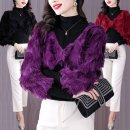 도그헤어 이미지