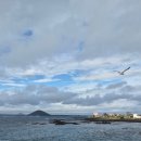 자라바위 펜션 | p와 j의 우당탕탕 제주도 여행 2일차(우도 입도 성공!)