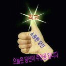 충청남도 산림박물관 이미지