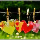 인성교육 지도사 이미지