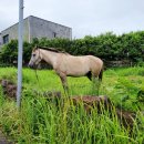 김석린 진사 생가 이미지