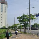 포승공단로 이미지