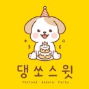 댕쏘스윗 | [부평강아지케이크&amp;강아지수제간식] “댕쏘스윗” 케이크 후기❤️