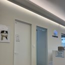 다나동물병원 | 파주 운정 다나동물의료센터에서 중성화 수술 내돈내산 후기