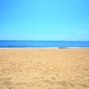 은빛파랑 이미지