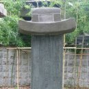 감사나무 이미지