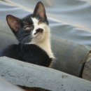 반디의꿈 이미지