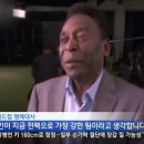 펠레코