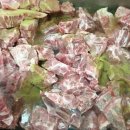 더 맛있는 뼈해장국 이미지