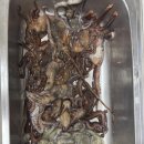 포항잠수센터 | 부산 스킨해루질 │ 문어가 숨어있던 최고의 여름 포인트를 다시 찾았습니다