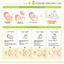 브라운하트 - 29228 | 브라운하트