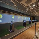 웰스크린골프 이미지