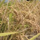 순천농협 도사지점 이미지