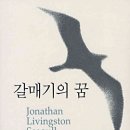 갈매기의 꿈 이미지