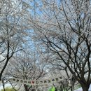 갈산공원(중간) 이미지