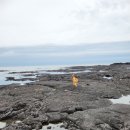 김녕 연지민박 이미지